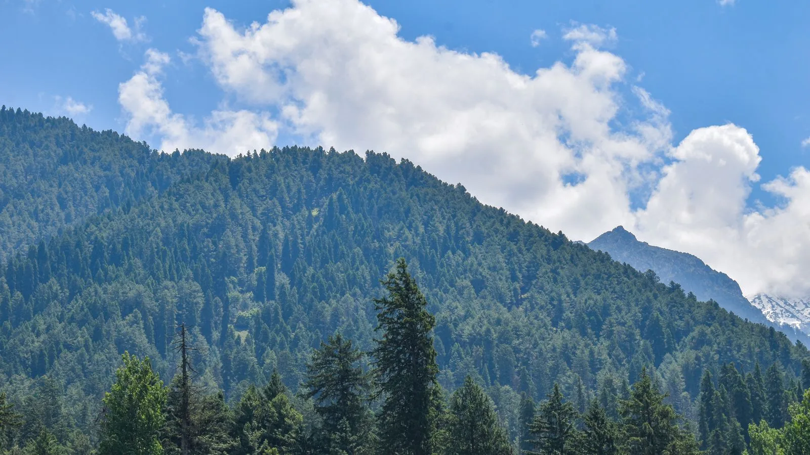 Coastal mountains above the Sea-to-Sky Corridor, British Columbia